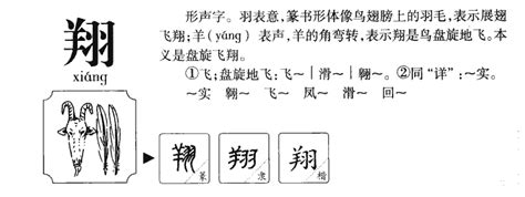 翔的五行|翔字的五行是什么,翔的五行属性及吉利寓意